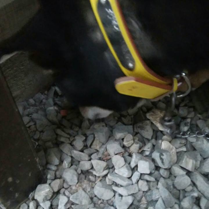 4234e7ba 895f 4548 b387 005f7d042813