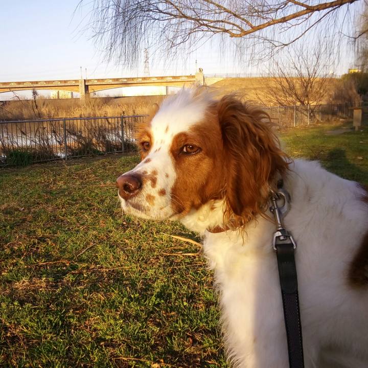 42356ef2 6326 40f9 9496 68101ac46239