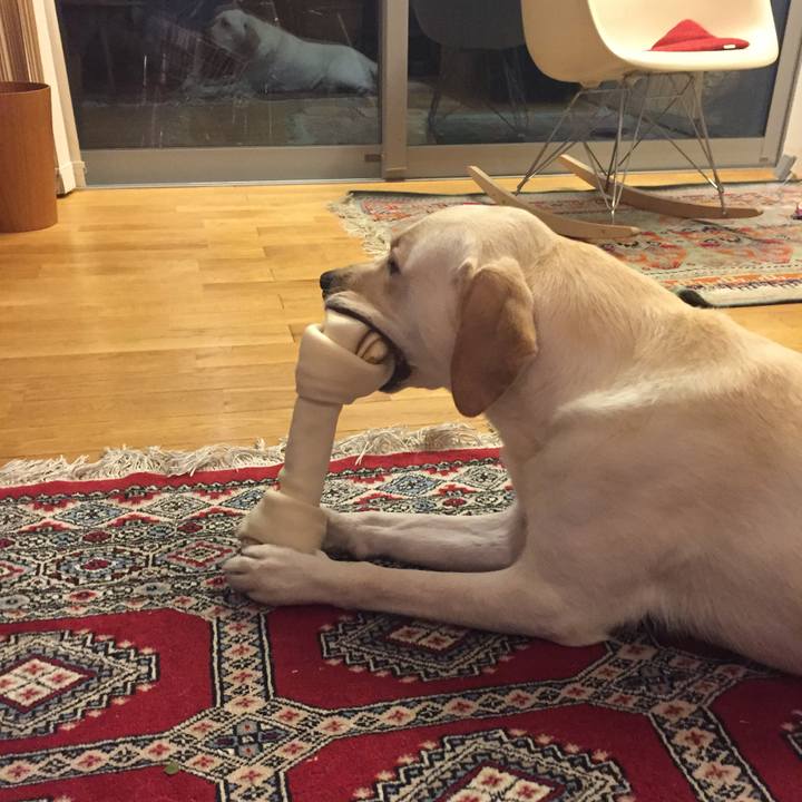 4235c2c7 24b6 40c9 94ed 2cf66fa56abc