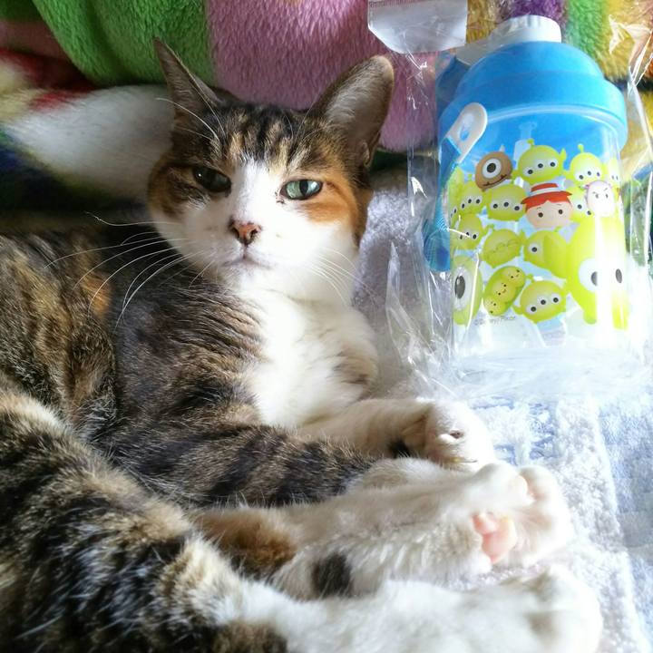 42368fa6 991f 4b03 9920 14a1393ab4f2