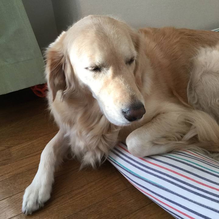 4237be6c e442 4ac2 93cd b92384b24b61