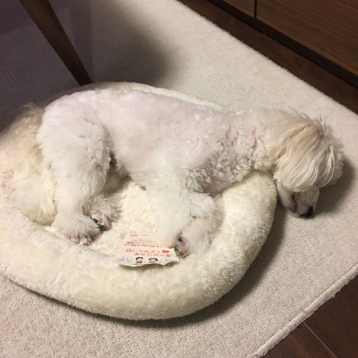 4237fe07 1442 4829 8ea2 d9bf0e63b3ec