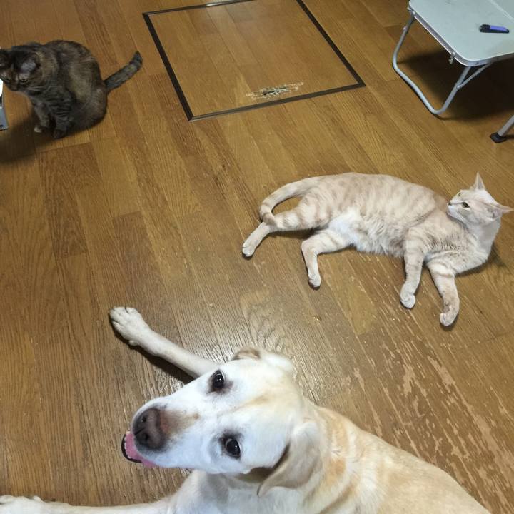 42389e8f b9a4 4630 a5ac d3b71801fec2