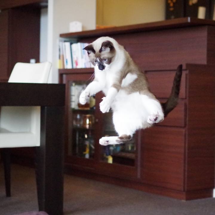 4238a556 f217 4f5d a150 aa3a5e223f67