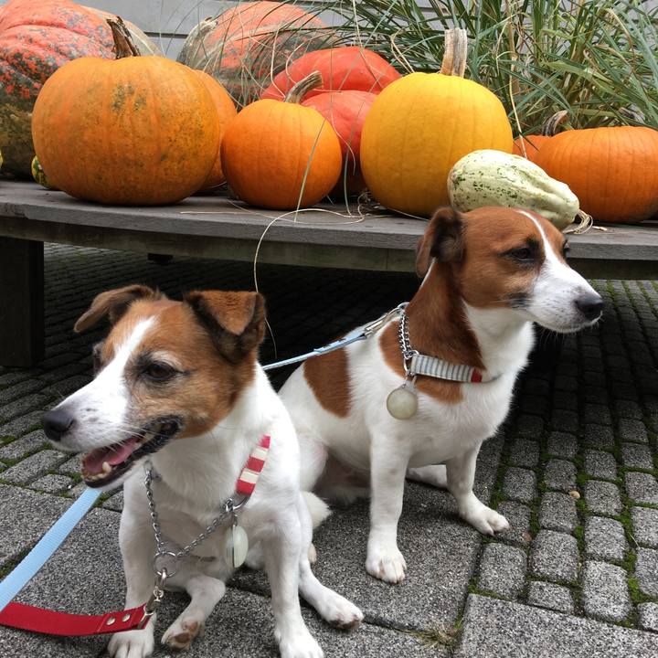 4238bbc7 1e0e 4f47 bb6f 406488af7dff