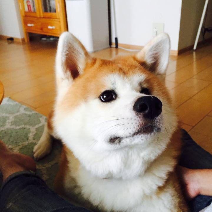 42395d64 14f0 4ce8 9406 86cb56638d4a