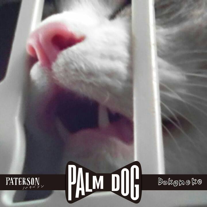 423a79c9 d8fc 4287 b0a7 1612ac7cd5e3