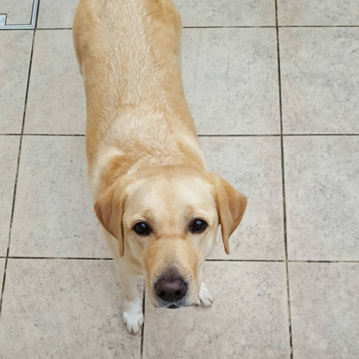 423a91e3 3419 495b 892b c922ab6db9b7