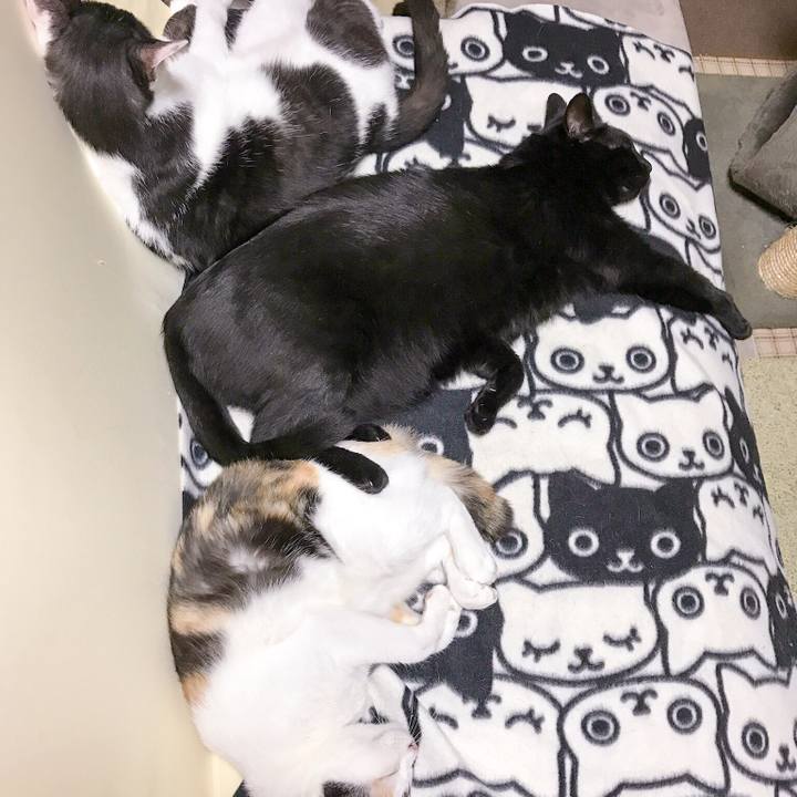 423aa08a 271b 46b0 b715 d99a05a48f2c