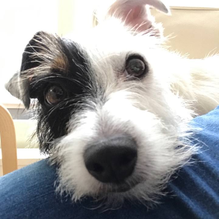 423ac98a ce9c 4d5a baa1 fb6bbe6a4304