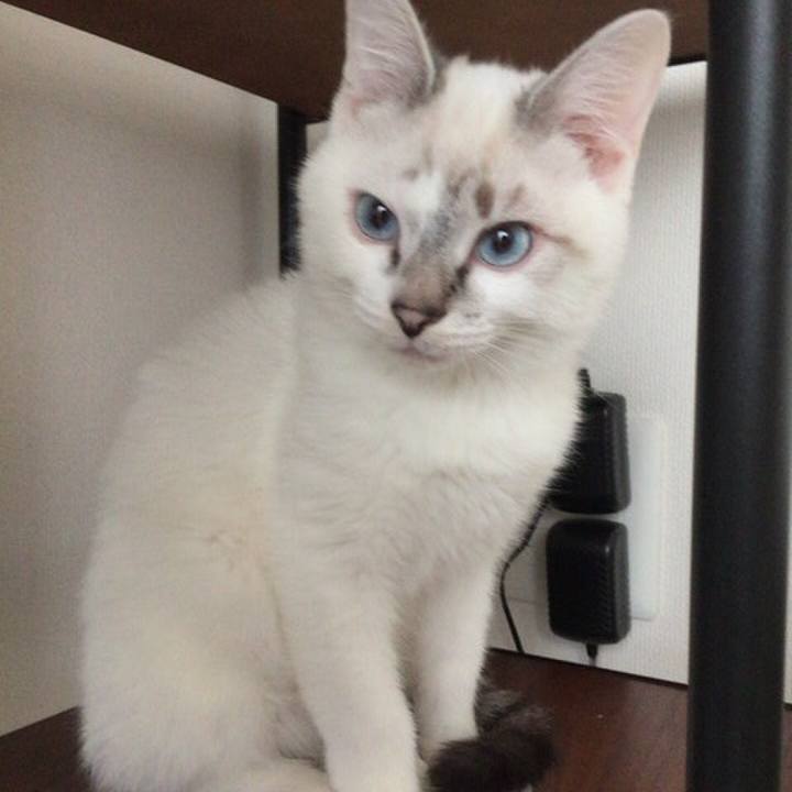 423c05cf 9533 47f0 ba78 7054c6374617