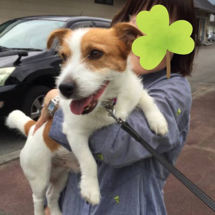 423cbda1 6172 431b b0ff 2c41fc74ce7f