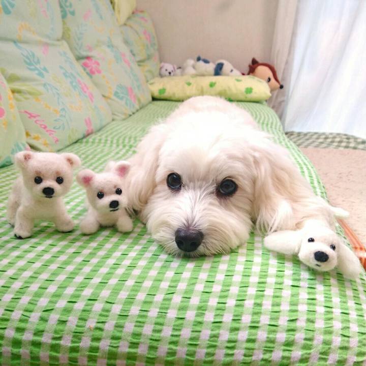 423cd9fb a7aa 4f62 a6ac e98ee70c1122