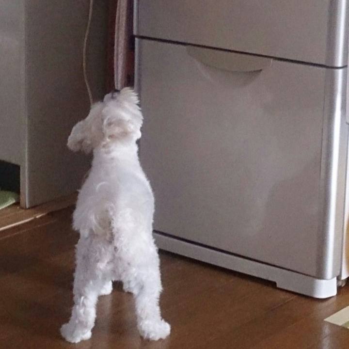 423d5e08 168c 4929 a06e 165f094b561a