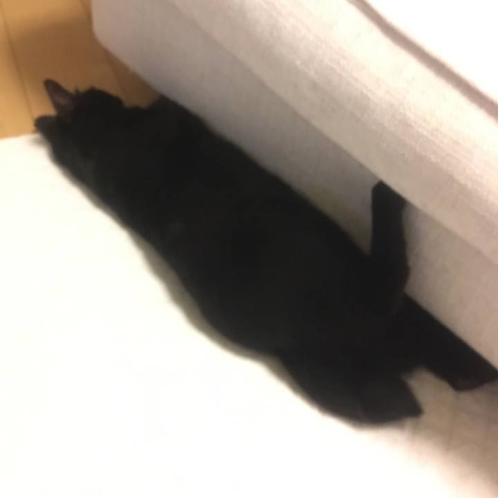 423d73fd 1c70 47f5 aa95 6f68c9cee857