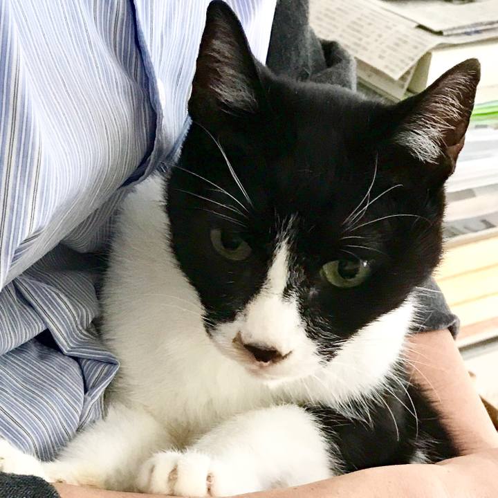 423f1a35 65b6 4e87 a191 0a65e01e5b54