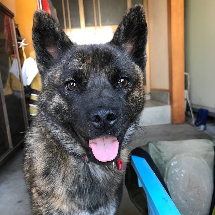 423f1c4d 9544 4418 b9e4 4811ef4d89c3