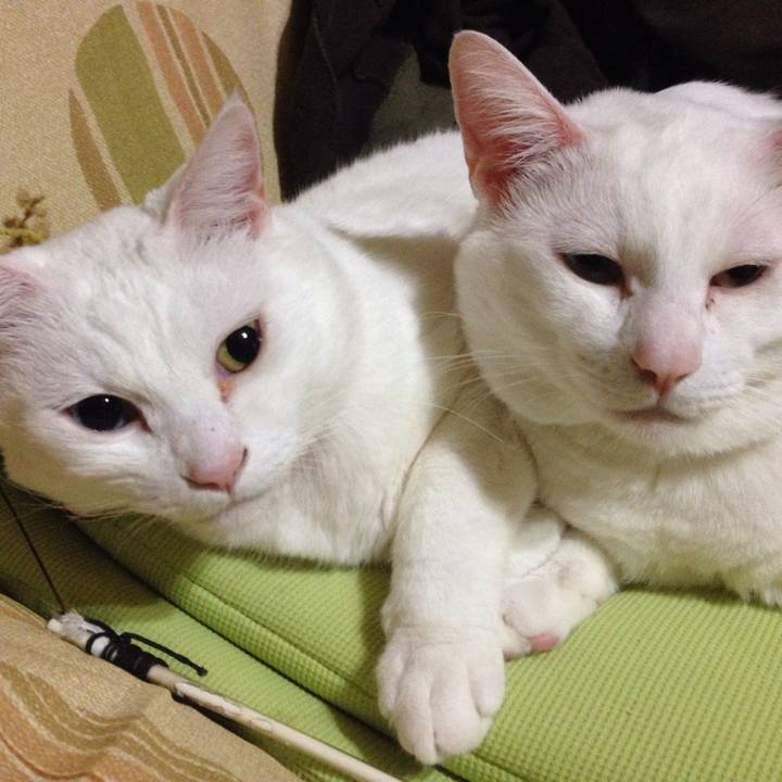 423f5112 08a9 48c0 9467 bbe191924e61