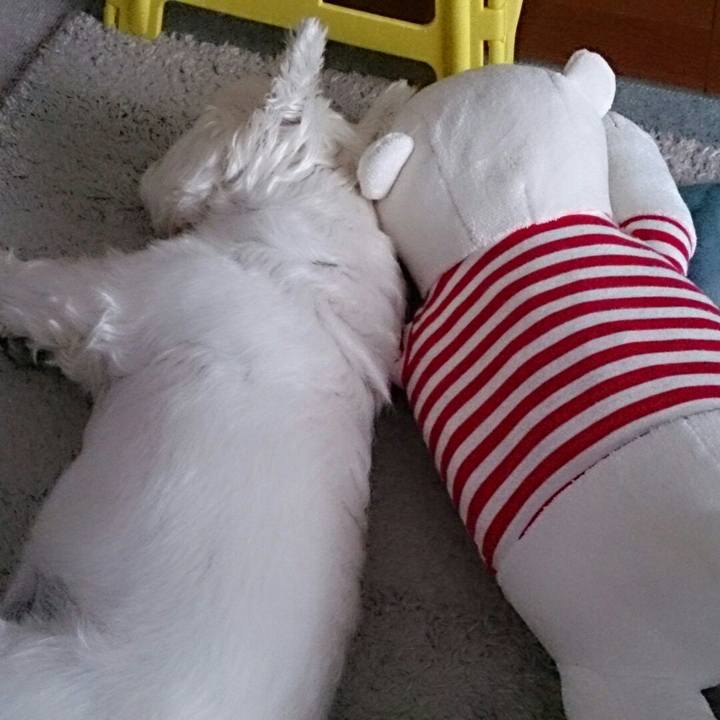 424006f5 b91d 4aaa adc1 4634595c653e