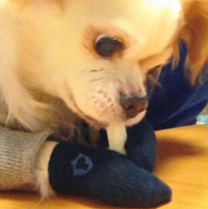 424010f3 e3c6 452a a386 7150c438999c