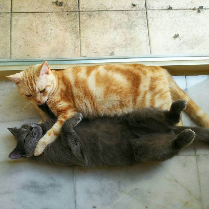 424051d4 7d21 4e88 b4cf 5431d4c8ac1e