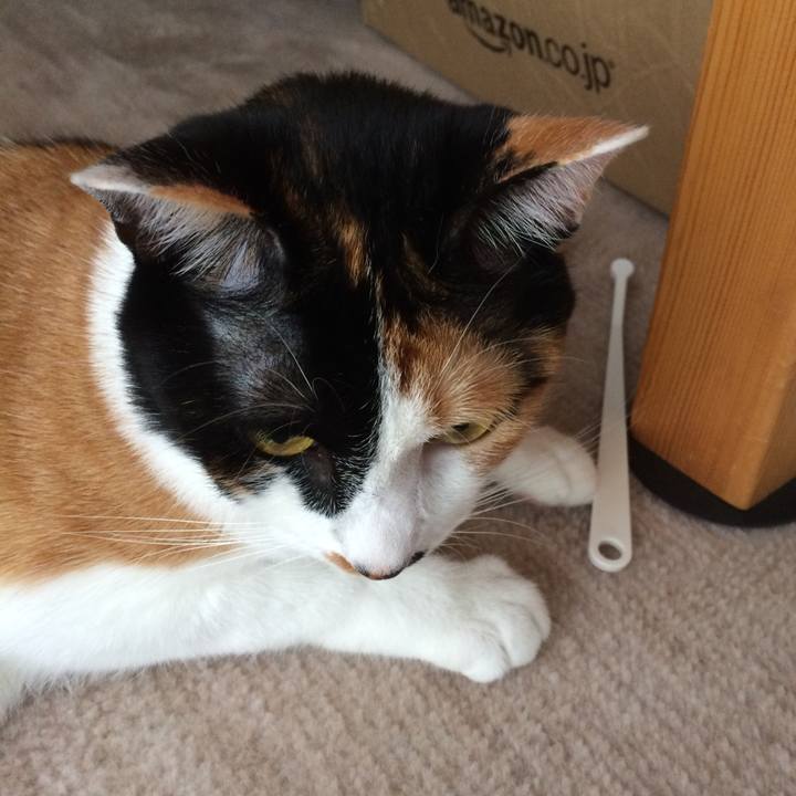 42408540 bd83 4879 99fb bed407496264