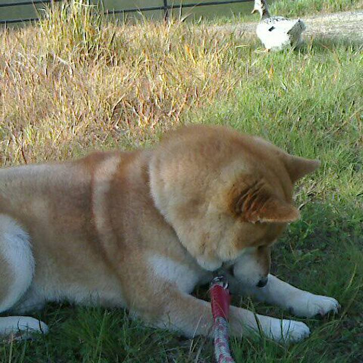 4240bcbc 7a5a 4138 a8df 3368dfbaafdf