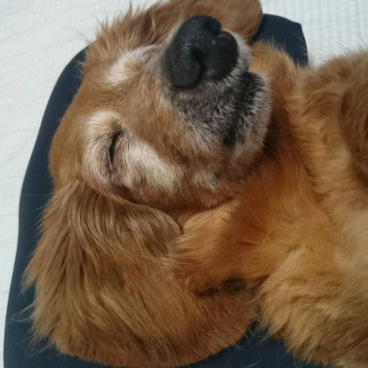 4240d3b5 d992 4197 9b51 17bd007beeee