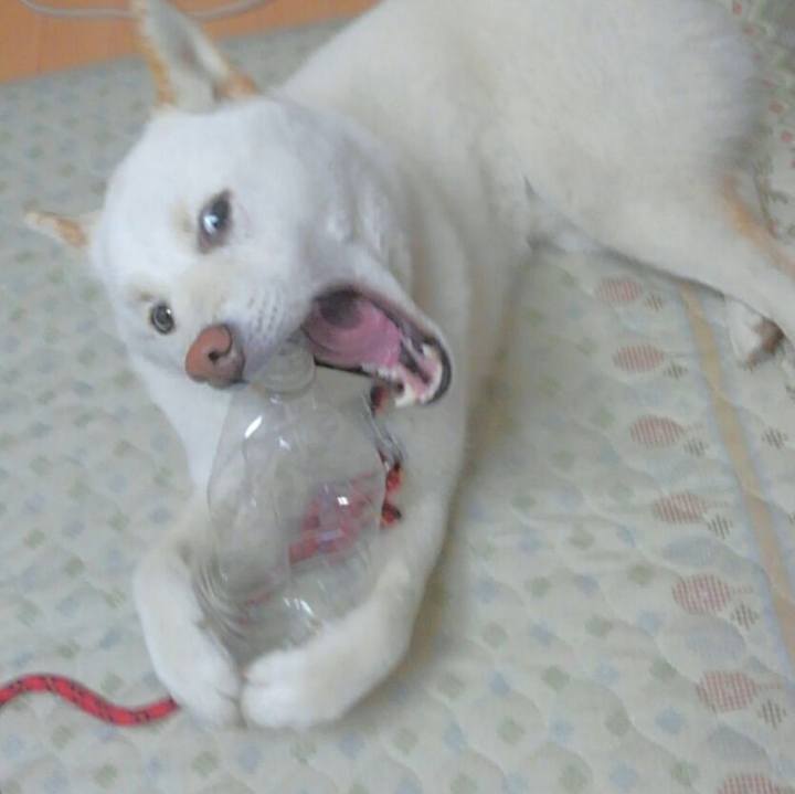 424139e0 e396 4167 b313 46862a39e708