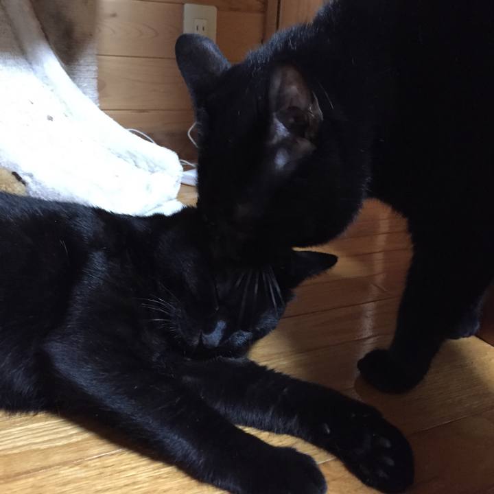 4241ba4d 900f 45ef a99c 1f3bdfcd0e28