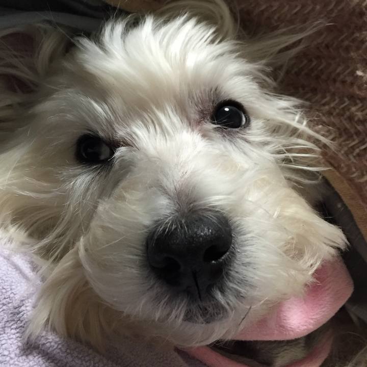 424279ea a650 45df 92f8 8b7c94ca2d2e