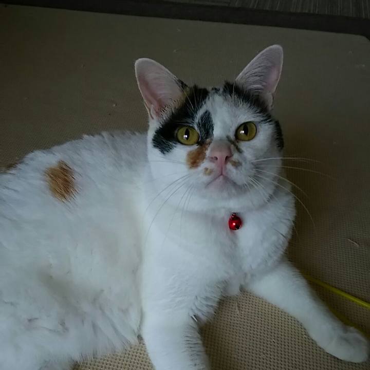 4242cac2 a04e 42bb 9edb 93d0ea0c76e3