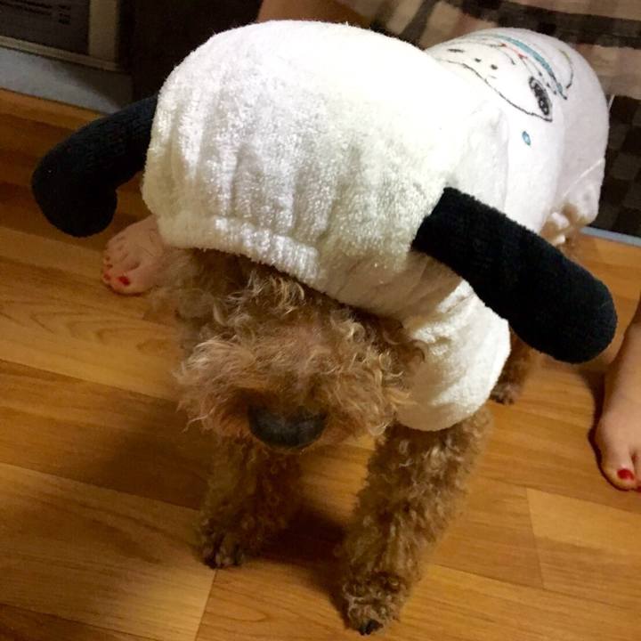 4243258a 78d6 487d 9820 92e2bf1cc6dc