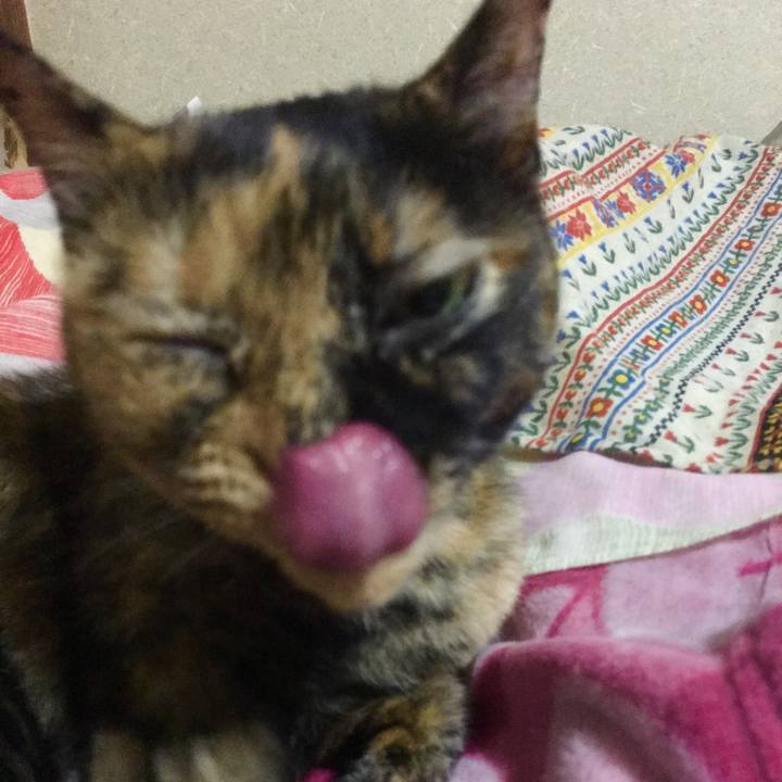 424327bc b15c 4373 9104 d8233db6b685