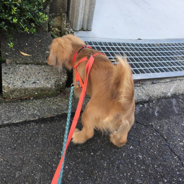 42445bc9 e83c 4e15 82d3 fc548b5f7dcc