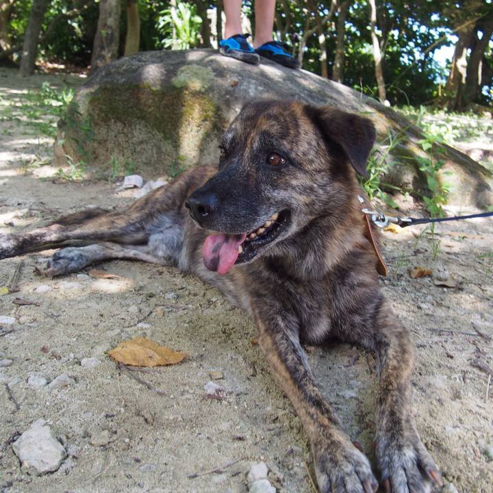 42448388 1d4c 404a 929a b6d39d7b3b7c