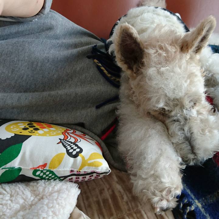 4244ab36 a8f1 4ebd ae9c e58144318f46