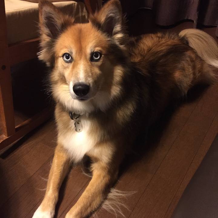 4245b718 ee56 4d6e 8e3e f50d168909d2