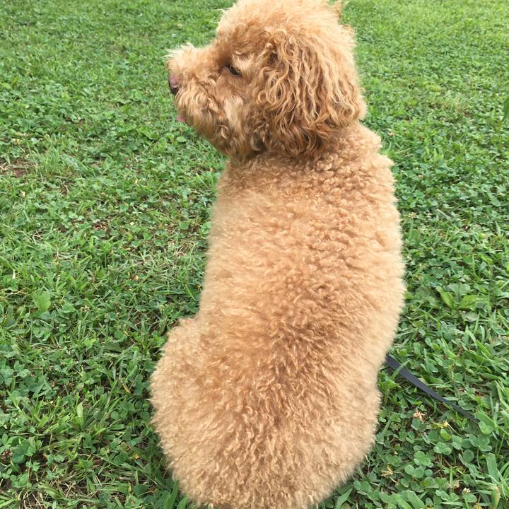 42465165 df47 4d4f b28b b356b2dabb36