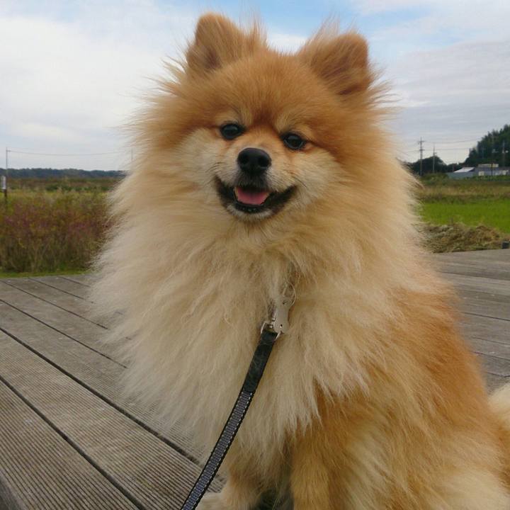 42466890 febb 47e3 b64f 752e6968e5b2