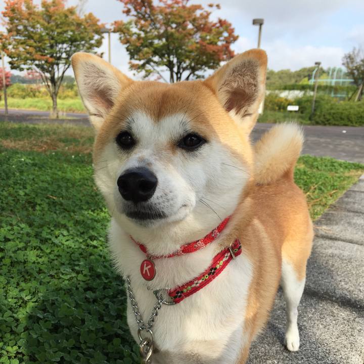 4246b786 756d 4089 8549 6f5fd5f58220