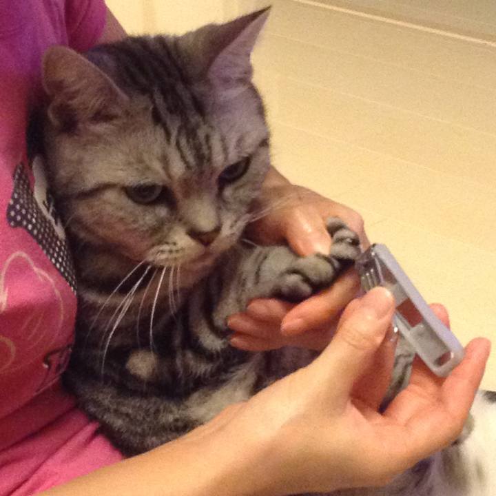 424759c3 c5a0 433e 8a75 e582f984e14d