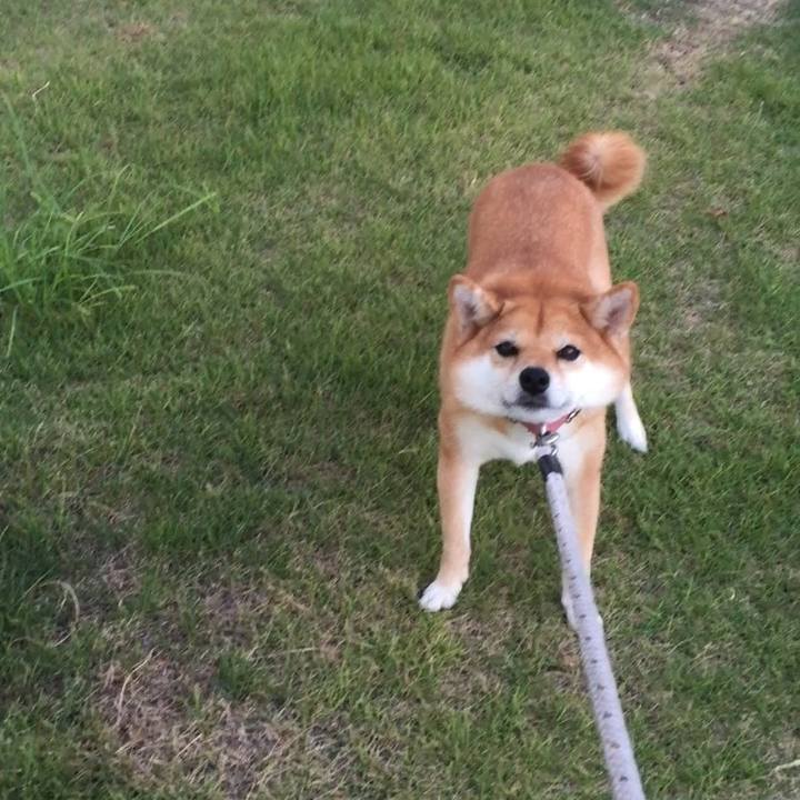 4247722b b55d 4600 be21 d037402679c2