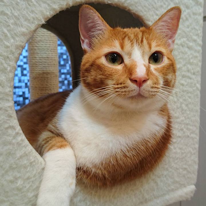 424784c0 5acf 442e 95b9 418968c9adcc