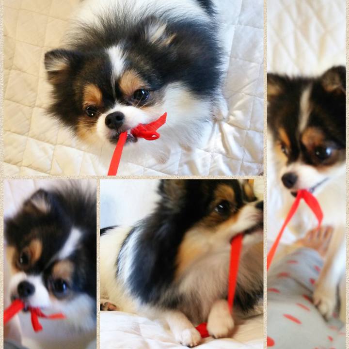 424790fe 5094 49f8 aaf8 60429ca1e383