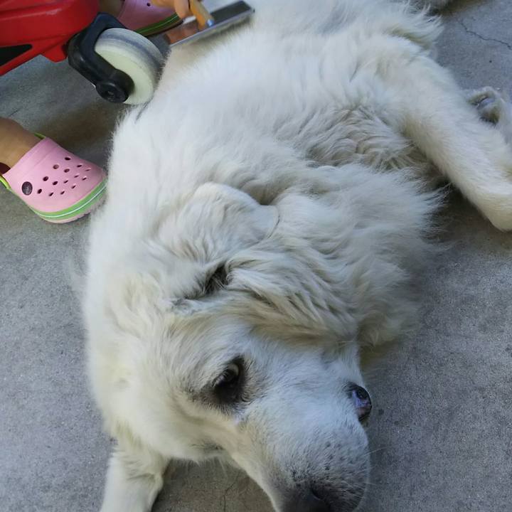 4247dc2e b709 45c1 85ed 09be3cecbc5d