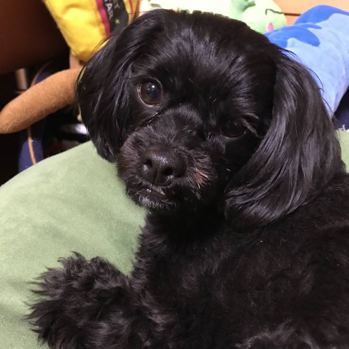 4247f51d bad7 4de4 84ec 82d4f320f9be