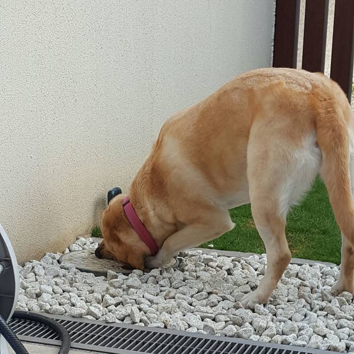 42487b7e 2a61 4b54 911f 39c61c62d8ae