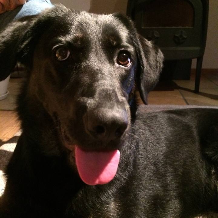 4248b6aa 212e 465a 8576 f03f2707456d