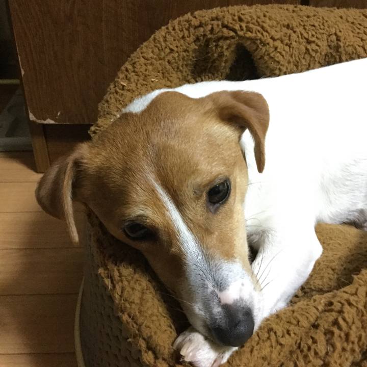 42499d68 bd4b 429d a1c2 c37e9228fe94